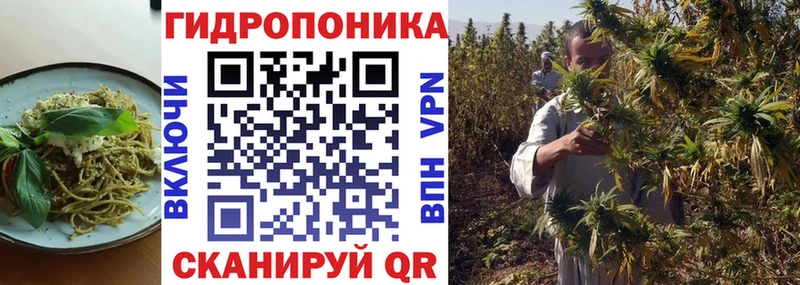 Cannafood конопля  Купить закладки  Алупка 