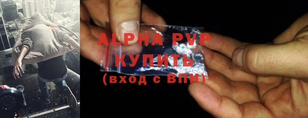 индика Кинешма