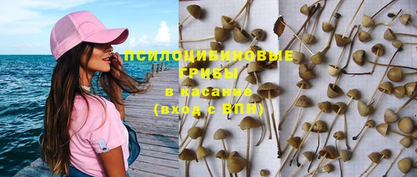 спиды Карталы