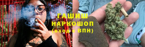 твердый Чегем