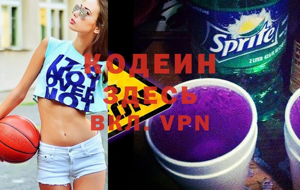 твердый Чегем