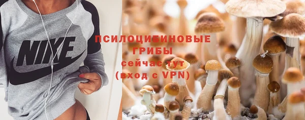 шишки Касимов