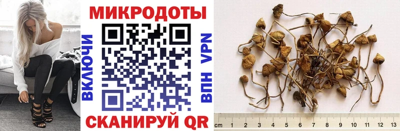 Купить где  Алупка  Псилоцибиновые грибы мухоморы 